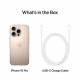 Telefons Apple iPhone 16 Pro 256GB Desert Titanium