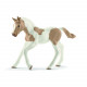 SCHLEICH HORSE CLUB „Paint” šķirnes kumeļš