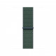 Siksniņa Apple Watch 42mm Lake Green Sport Loop