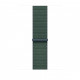 Siksniņa Apple Watch 46mm Lake Green Sport Loop