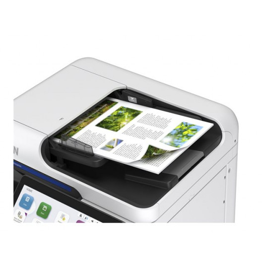 EPSON WF Enterprise AM-C550 MFP (P)