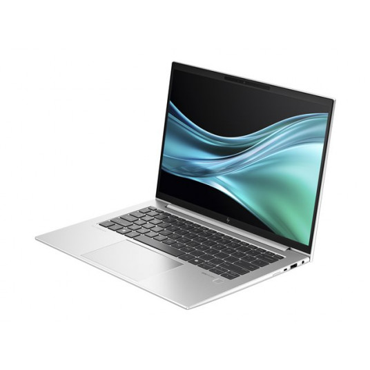 HP EliteBook 845 G11 14" -cannettava, Win 11 Pro (9G0S2ET)