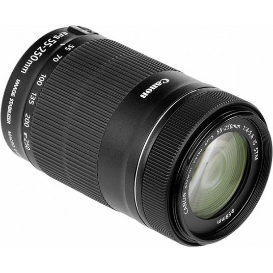 Canon EF-S 55-250mm f/4-5.6 IS STM