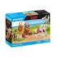 Set Asterix 71543 Roman chariot