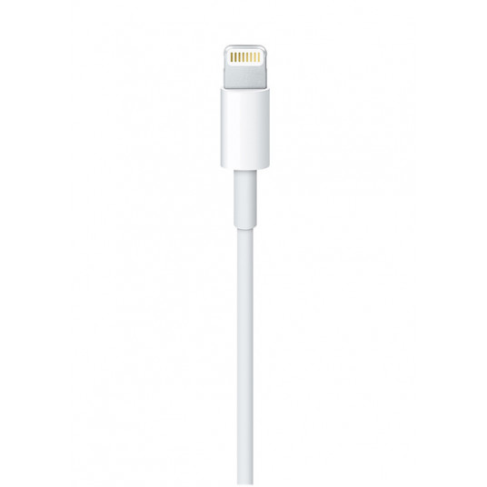 MD819ZM/A Apple Lightning to USB cable 2 m White