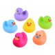 Colorful rubber ducklings. Fun in the bath ZA3351