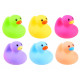 Colorful rubber ducklings. Fun in the bath ZA3351