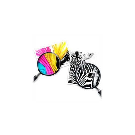 "HP Tinte 934XL C2P23AE Schwarz"
