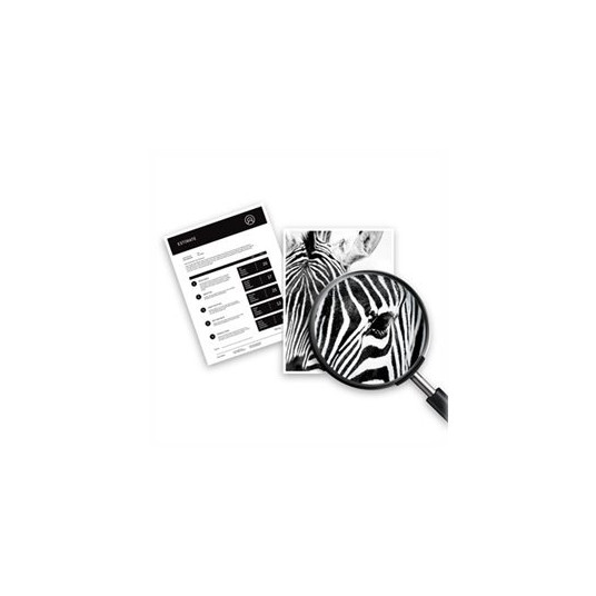 "HP Tinte 934XL C2P23AE Schwarz"
