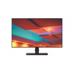 Lenovo ThinkVision P27h-20 27 ", IPS, QHD, 2560 x 1440, 16:9, 350 cd/m², Black, Daisy Chain