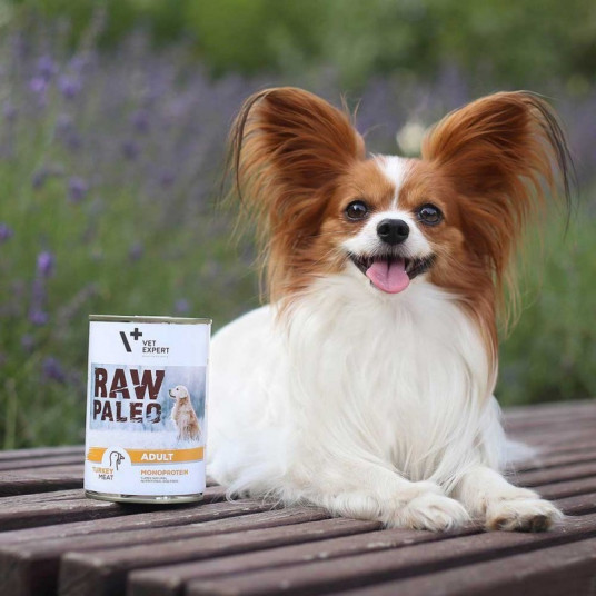 RAW PALEO Adult Monoprotein Turkey - mitrā barība suņiem - 800 g