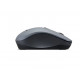 Lenovo Silent Mouse | WL310 | Wireless | Bluetooth | Grey