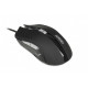 Pele IBOX Aurora A-1 Optical Black