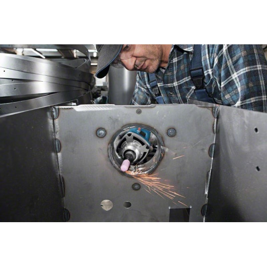 Bosch 0 601 220 100 krāsas slīpmašīna un/vai lineārā slīpmašīna 10 000 RPM 650 W