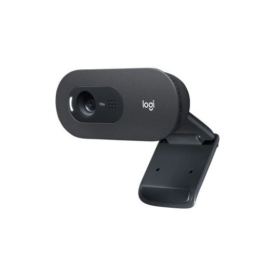 Logitech C505e Business Webcam