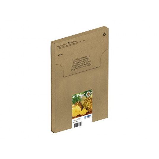 EPSON 1LB Multipack 4colours 604XL