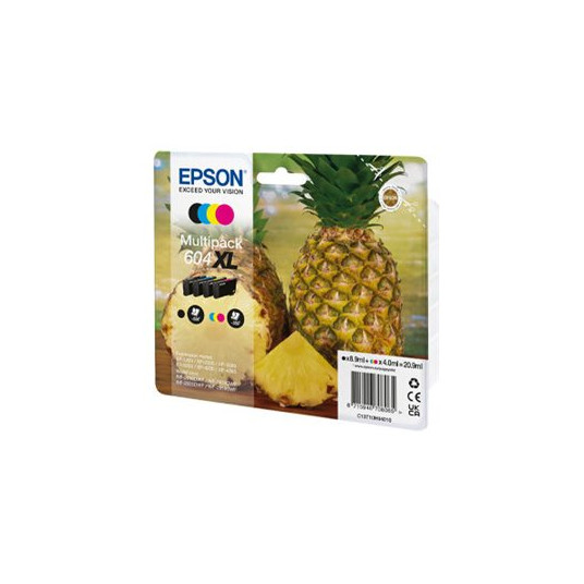 EPSON 1LB Multipack 4colours 604XL