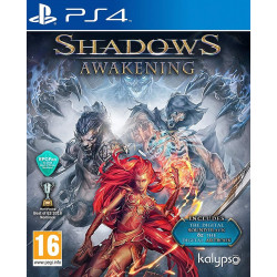 Spēle Shadows: Awakening PS4