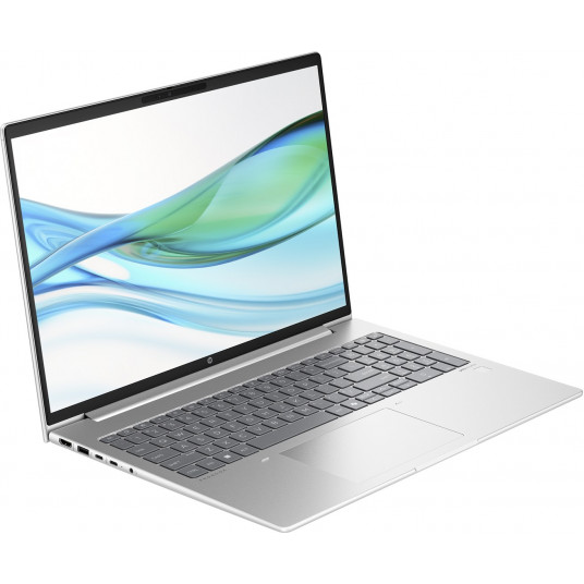 Klēpjdators HP ProBook 465 G11, 16 WUXGA, AMD Ryzen 5, RAM 16GB, 1TB SSD, AMD Radeon 660M Graphics, Windows 11 Home, Silver AD1J2ET