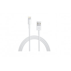 Apple Lightning to USB Cable (0.5m) ME291ZM/A