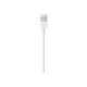 APPLE Lightning USB kabelis 1 m