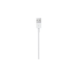 APPLE Lightning USB kabelis 1 m