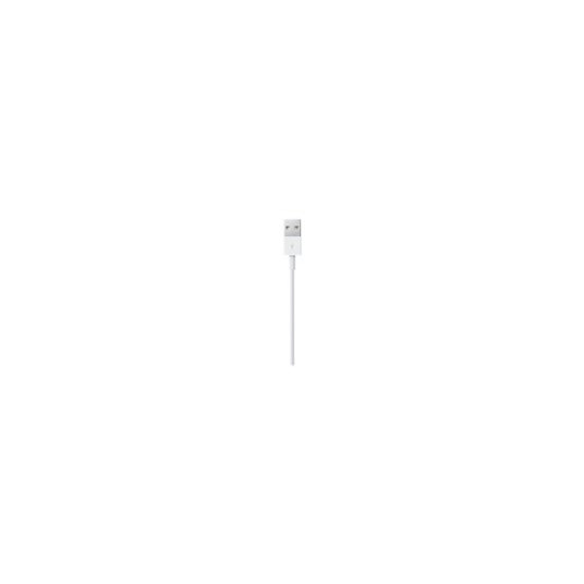 APPLE Lightning USB kabelis 1 m