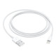 APPLE Lightning USB kabelis 1 m