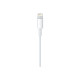 APPLE Lightning USB kabelis 1 m