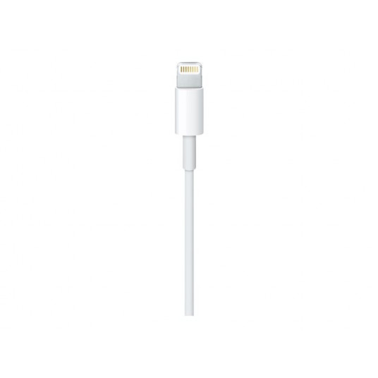 APPLE Lightning USB kabelis 1 m