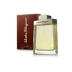 Salvatore Ferragamo Pour Homme EDT, 100ml