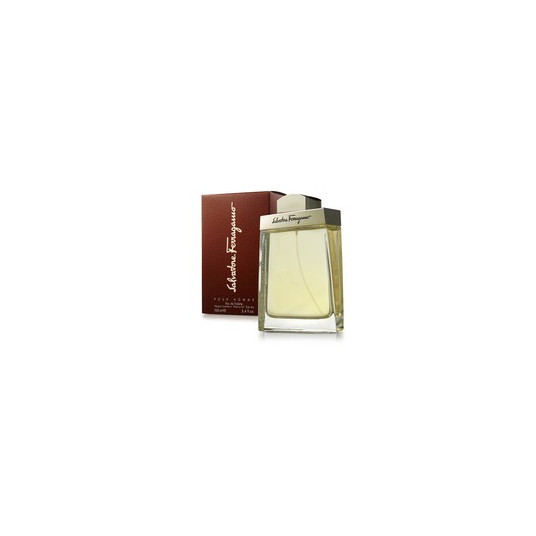 Salvatore Ferragamo Pour Homme EDT, 100ml
