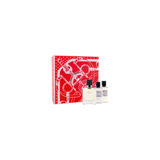 Komplekts vīriešiem Hermes Terre D'Hermes EDT 50 ml + dušas želeja 40 ml + losjons pēc skūšanās 40 ml