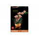 LEGO® 10343 Botanicals Mini orhideja