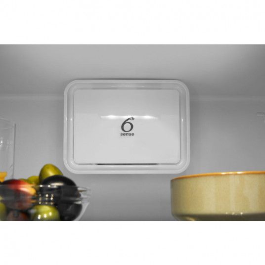 Ledusskapis Whirlpool W5 921E OX 2