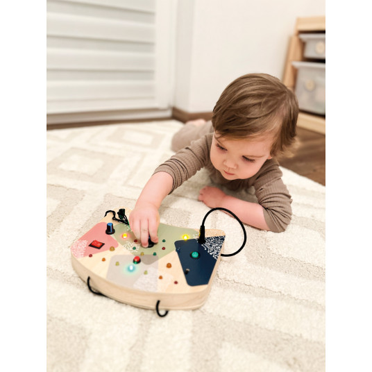 Motor Activity Board LED Light and Switches
