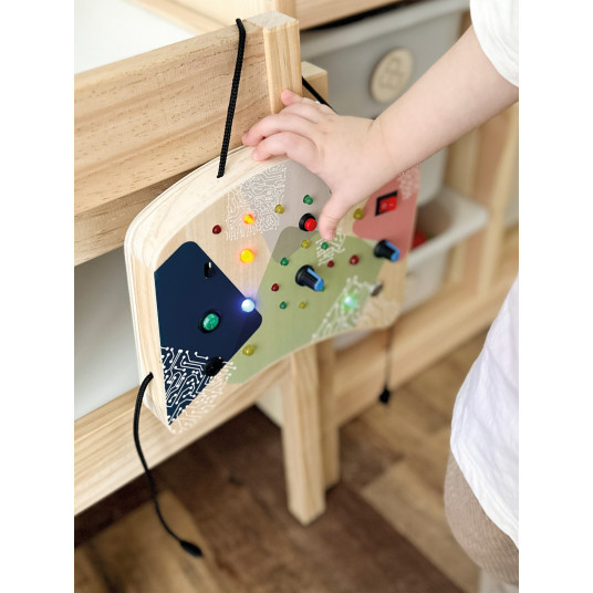 Motor Activity Board LED Light and Switches