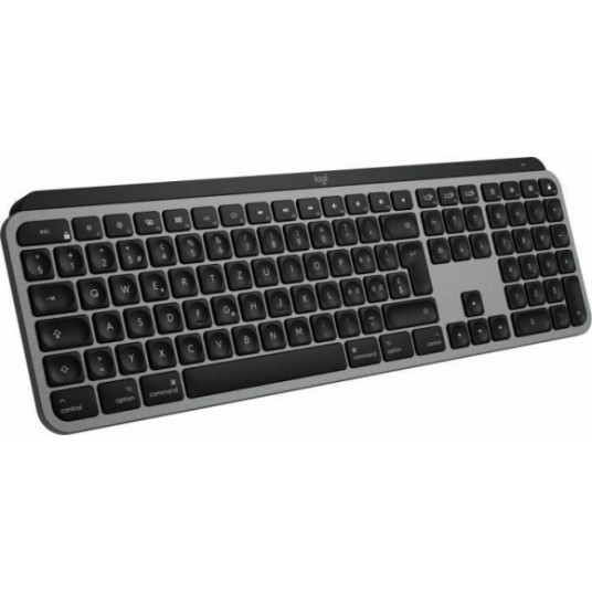 MX Keys Mac Graphite (DE)