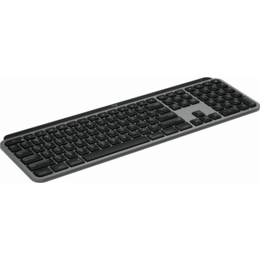 MX Keys Mac Graphite (DE)