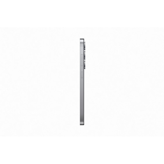 Telefons Samsung Galaxy S25 5G 256GB Silver Shadow (EU)
