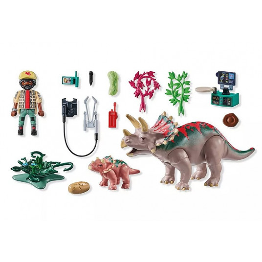Set with figurines Dinos 71821 Triceratopsy