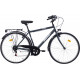 Tūrisma velosipēds Bottari Pisa, 28", 20" (50 cm) rāmis