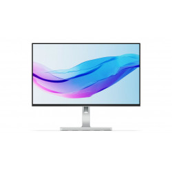 Lenovo L24m-4A LED displejs 60,5 cm (23,8") 1920 x 1080 pikseļu Full HD pelēks