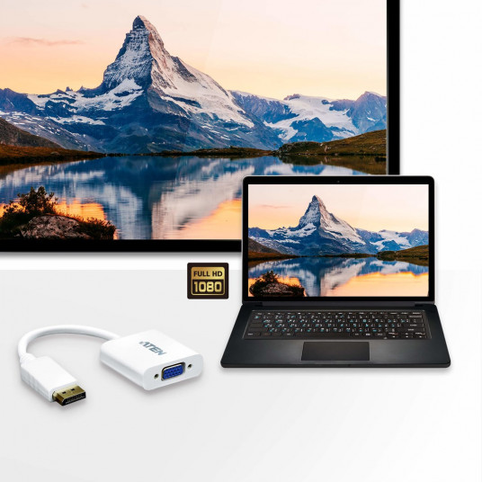 ATEN VC925-AT video kabeļa adapteris DisplayPort VGA (D-Sub) Balts