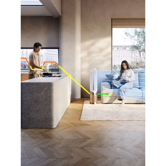 DYSON Purifier Cool oro valytuvas TP12 Carbon Wh/Gd