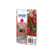 EPSON CHILI SINGLEPACK MAGENTA 503 TINTE