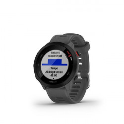 Sporta viedpulkstenis Garmin Forerunner 55 GPS Monterra Grey| 010-02562-13