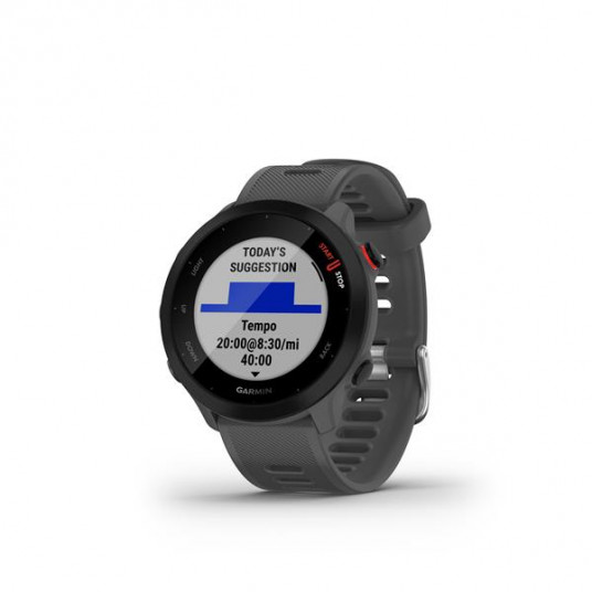 Sporta viedpulkstenis Garmin Forerunner 55 GPS Monterra Grey| 010-02562-13
