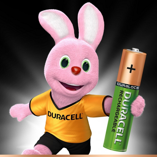 Charger DURACELL CEF14 (45 minūšu laikā) + 2AA + 2AAA 750mAh 1300mAh