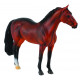 COLLECTA (XL)  Hanoverian Stallion Bay 88431